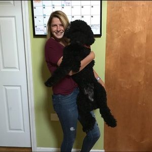 Meet your Posher, Taylor